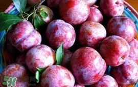 双华李怎么吃不酸?双华李不能和什么一起吃? 双华李怎么吃不酸?双华李不能和什么一起吃?