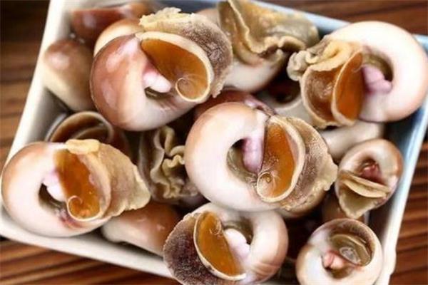 香螺吃多了会怎么样 香螺吃多了头晕怎么办 香螺吃多了会怎么样 香螺吃多了头晕怎么办