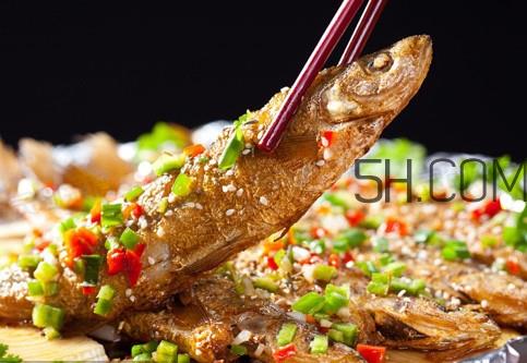 刁子鱼是什么鱼?刁子鱼是翘嘴鲌吗 刁子鱼是什么鱼?刁子鱼是翘嘴鲌吗