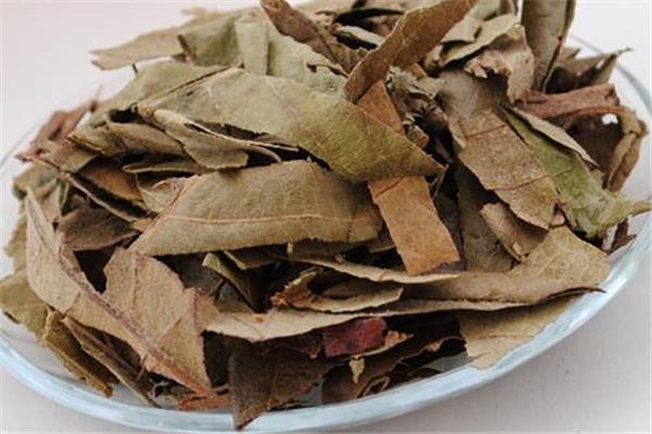 枇杷叶煮水能过夜喝吗 枇杷叶怎么保存时间长 枇杷叶煮水能过夜喝吗 枇杷叶怎么保存时间长