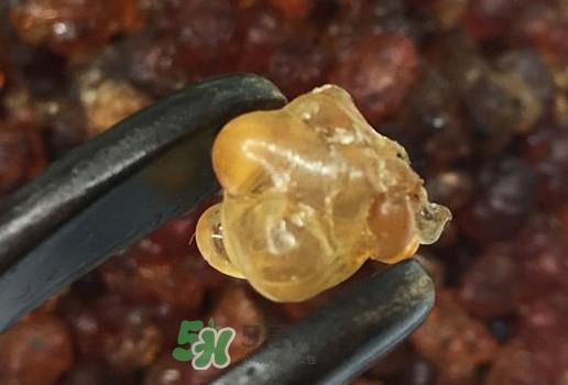 桃胶几月份可以采摘?桃胶几岁小孩能吃 桃胶几月份可以采摘?桃胶几岁小孩能吃