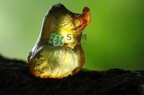 桃胶几月份可以采摘?桃胶几岁小孩能吃 桃胶几月份可以采摘?桃胶几岁小孩能吃