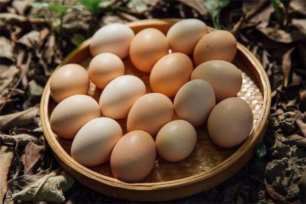 土鸡蛋一天吃几个合适 土鸡蛋可以生吃吗 土鸡蛋一天吃几个合适 土鸡蛋可以生吃吗