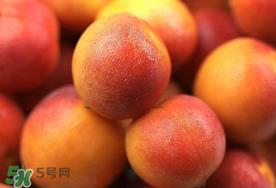 新鲜杏子可以放冰箱吗?新鲜杏子怎么保存? 新鲜杏子可以放冰箱吗?新鲜杏子怎么保存?