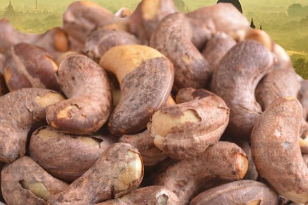 腰果要不要洗 直接可以吃的 腰果要不要洗 直接可以吃的