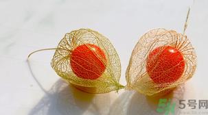 姑娘果的营养价值有哪些?姑娘果的功效与作用 姑娘果的营养价值有哪些?姑娘果的功效与作用