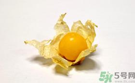 姑娘果的营养价值有哪些?姑娘果的功效与作用 姑娘果的营养价值有哪些?姑娘果的功效与作用