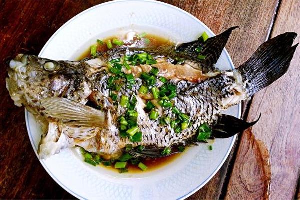 经期可以吃石斑鱼吗 产后可以吃石斑鱼吗 经期可以吃石斑鱼吗 产后可以吃石斑鱼吗