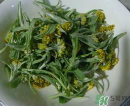 清明草怎么吃?清明草怎么做好吃? 清明草怎么吃?清明草怎么做好吃?