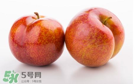 三华李是酸性还是碱性?三华李是不是碱性水果 三华李是酸性还是碱性?三华李是不是碱性水果