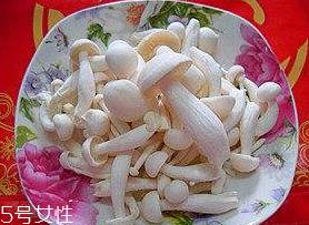 白玉菇能和西红柿一起吃吗?白玉菇能和番茄一起吃吗? 白玉菇能和西红柿一起吃吗?白玉菇能和番茄一起吃吗?