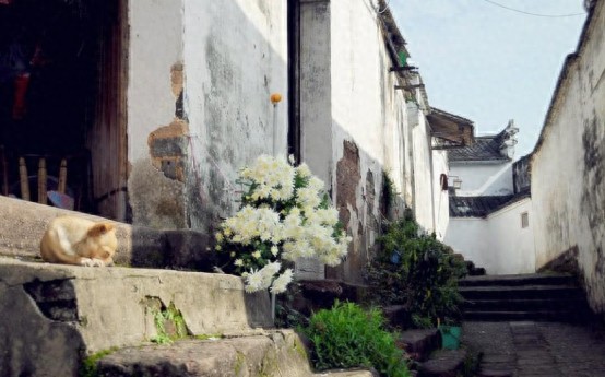 诸葛八卦村：暗藏失传“八阵图”的山间桃花源