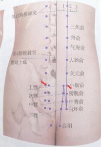​每日一穴——小肠俞
