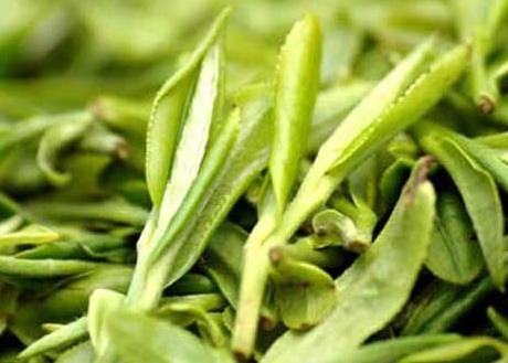 龙井什么时候喝最好 喝龙井的最佳季节 龙井什么时候喝最好 喝龙井的最佳季节