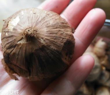 黑蒜的价格多少钱一斤?黑蒜很贵吗? 黑蒜的价格多少钱一斤?黑蒜很贵吗?