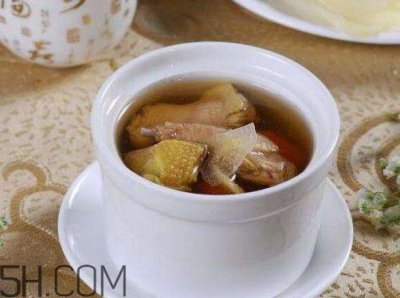 鸽子汤用老鸽还是乳鸽 鸽子汤用什么鸽子