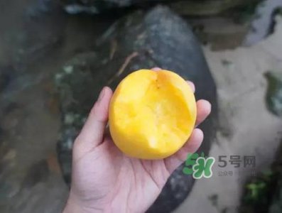 炎陵黄桃什么时候成熟?炎陵黄桃好吃吗?