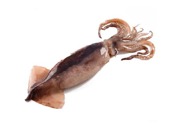 新鲜鱿鱼有黑点是不是坏了 新鲜鱿鱼有点酸能吃吗 新鲜鱿鱼有黑点是不是坏了 新鲜鱿鱼有点酸能吃吗