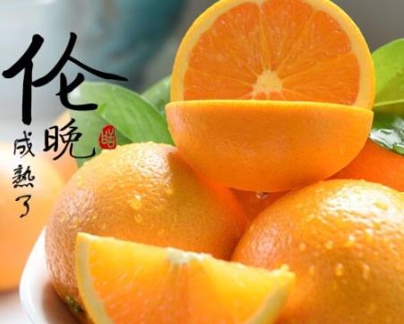 伦晚脐橙的营养价值 伦晚脐橙的功效作用
