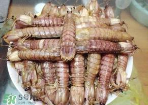 皮皮虾用放盐吗?煮皮皮虾用放盐吗? 皮皮虾用放盐吗?煮皮皮虾用放盐吗?