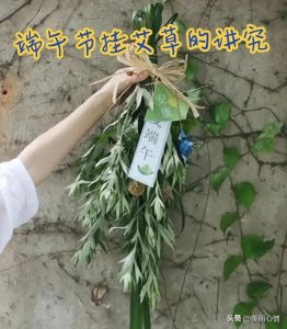 端午节门口挂艾草的意义及讲究!