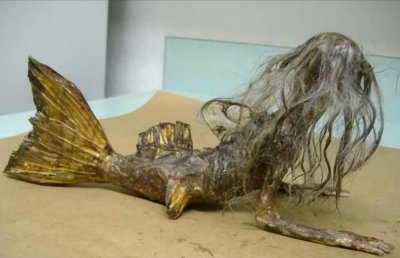 黑鳞鲛人被美国抓获 黑鳞鲛人真的存在吗?