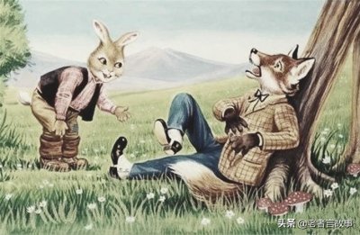 狼和兔子的故事