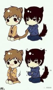 bl强攻弱受宠文推荐