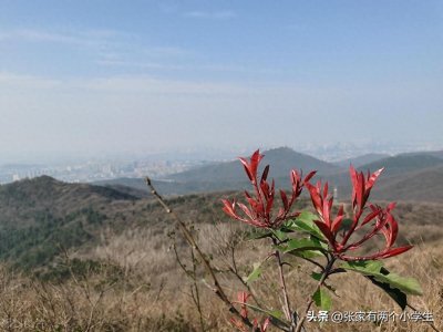 “偷得浮生半日闲”?意思是说休息了半天吗?