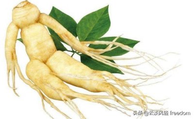 人参真的会跑么?