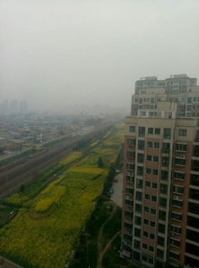 ​许昌市魏都区邮编号码多少(许昌市魏都区邮编查询)