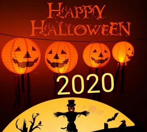 万圣节熊的寓意