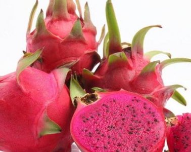 ​怀孕后可以吃红心火龙果吗(怀孕初期红心火龙果能吃吗)