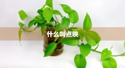 ​什么叫点映(什么叫点映?)