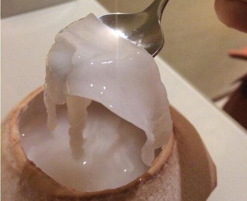 新鲜椰肉可以直接吃吗?