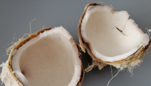 新鲜的椰子肉能生吃,椰肉能生吃吗图1