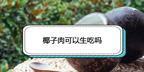 椰子肉可不可以生吃