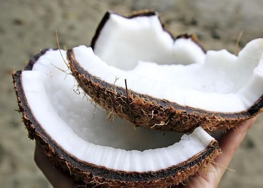 新鲜椰子肉可以生吃吗