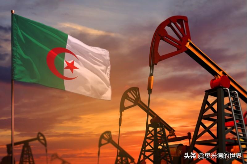 阿尔及利亚是黑人还是白人(阿尔及利亚是哪个洲的国家)