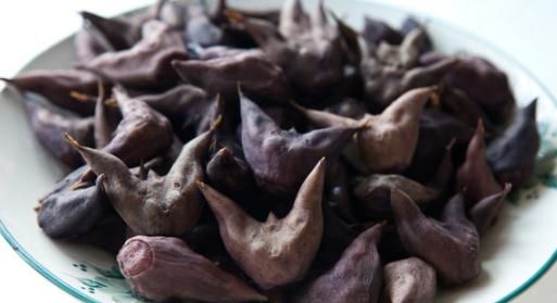 菱角可以生吃吗什么时候吃