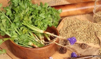 香菜降压开胃浑身是宝 常吃香菜的好处大全