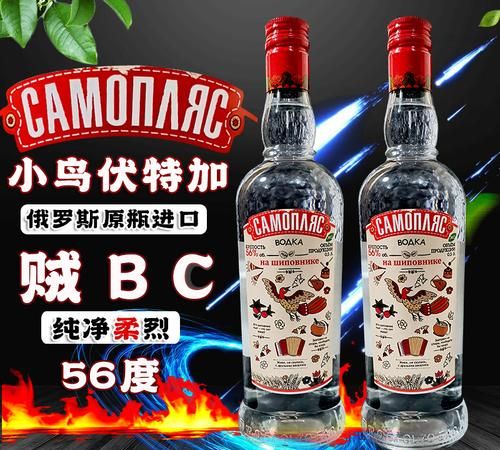 来杯小鸟伏特加是什么歌