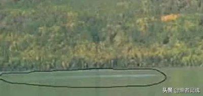 喀纳斯湖124米巨型哲罗鲑是真的吗(哲罗鲑真长这么大吗)