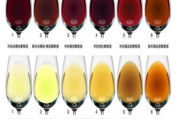 酒有多少种类呢 白酒和啤酒的区别 酒有多少种类呢 白酒和啤酒的区别