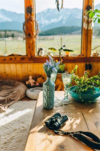 探讨城市生活的优势和劣势