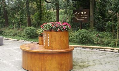 公共服务设施,基础设施与公共服务设施的区别?