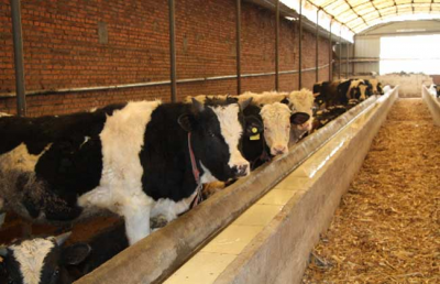 ​在农村没本钱能养殖什么，在农村，没什么资金，适合养殖什么可以赚钱?_?