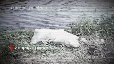 正义虽迟但到:南京警方破解23年前悬案,无名女尸终得昭雪