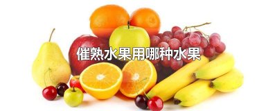 ​催熟水果用哪种水果