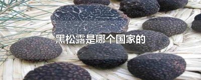 ​黑松露是哪个国家的